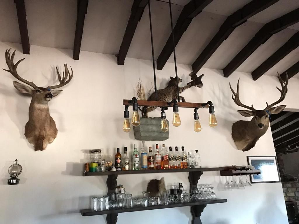 Cabañas para cacería 1