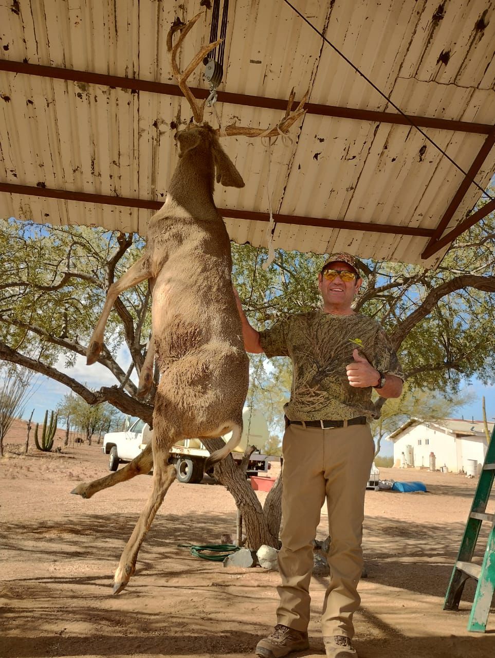 Cabañas para cacería 5